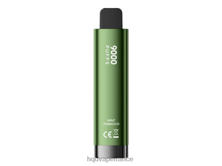HQD Vape France - HQD CUVIE PLUS 2.0 jetable tabac à la menthe D2684221
