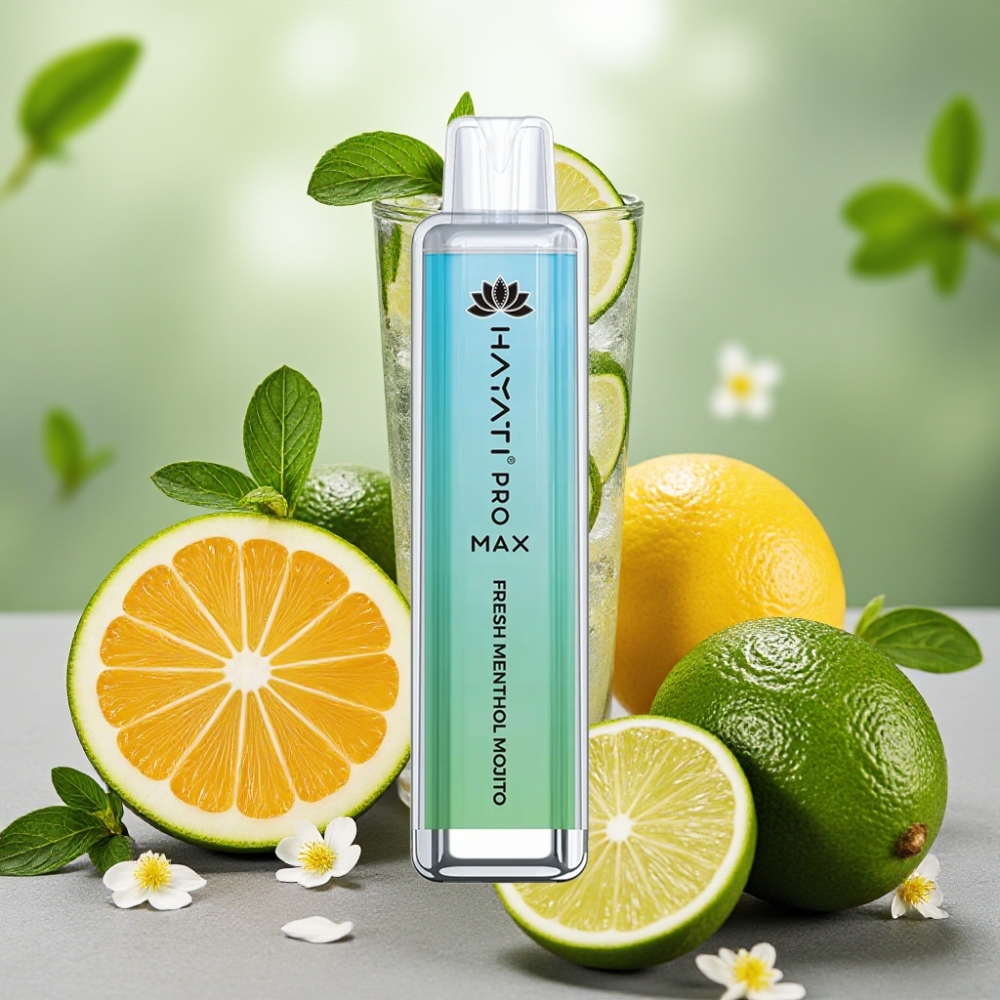 Hayati Pro Max 4000 Puffs Menthe Fraîche Mojito Rechargeable 1400mAh 2ml/10ml