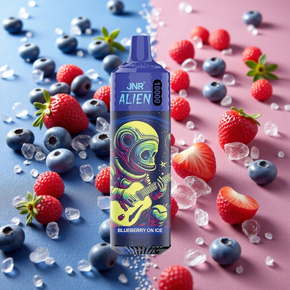 JNR Alien 10000 Puffs 850mAh 20ml Type-C Myrtille Glacée