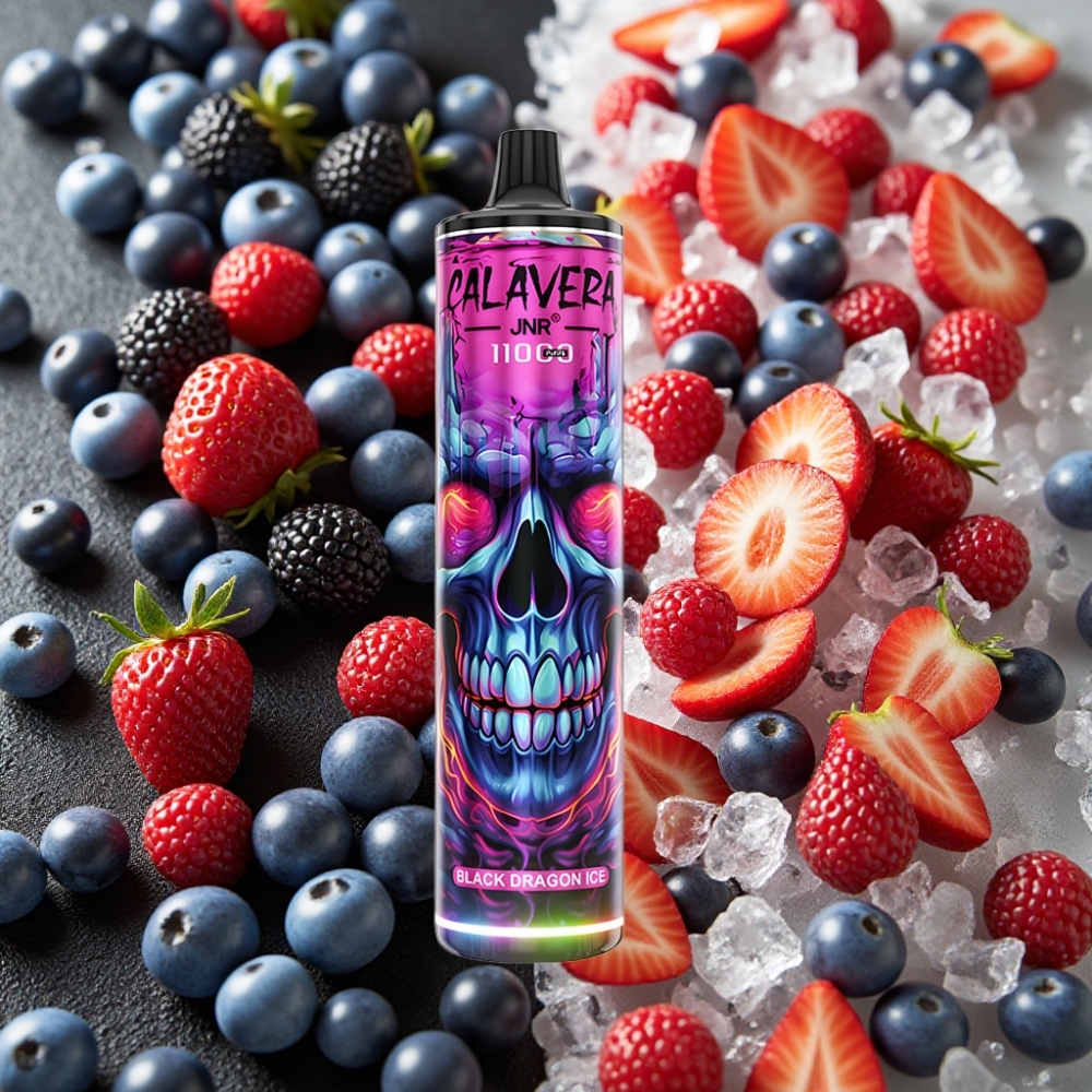 JNR Calavera 11000 Puffs Dragon Noir Glacé - Type-C, 850mAh, 21ml, 1.0ohm