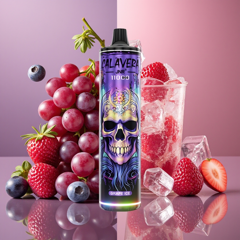 JNR Calavera 11000 Puffs Type-C 850mAh 21ml Glace Raisin