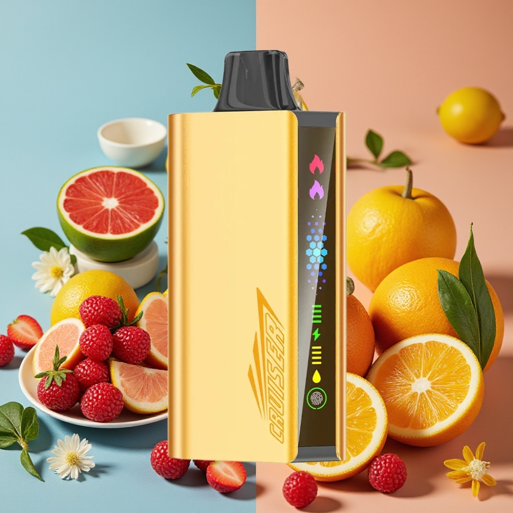 JNR Cruiser 12000 Puffs Sans Recharge Ecaille Aluminium 3500mAh Cool Fanta