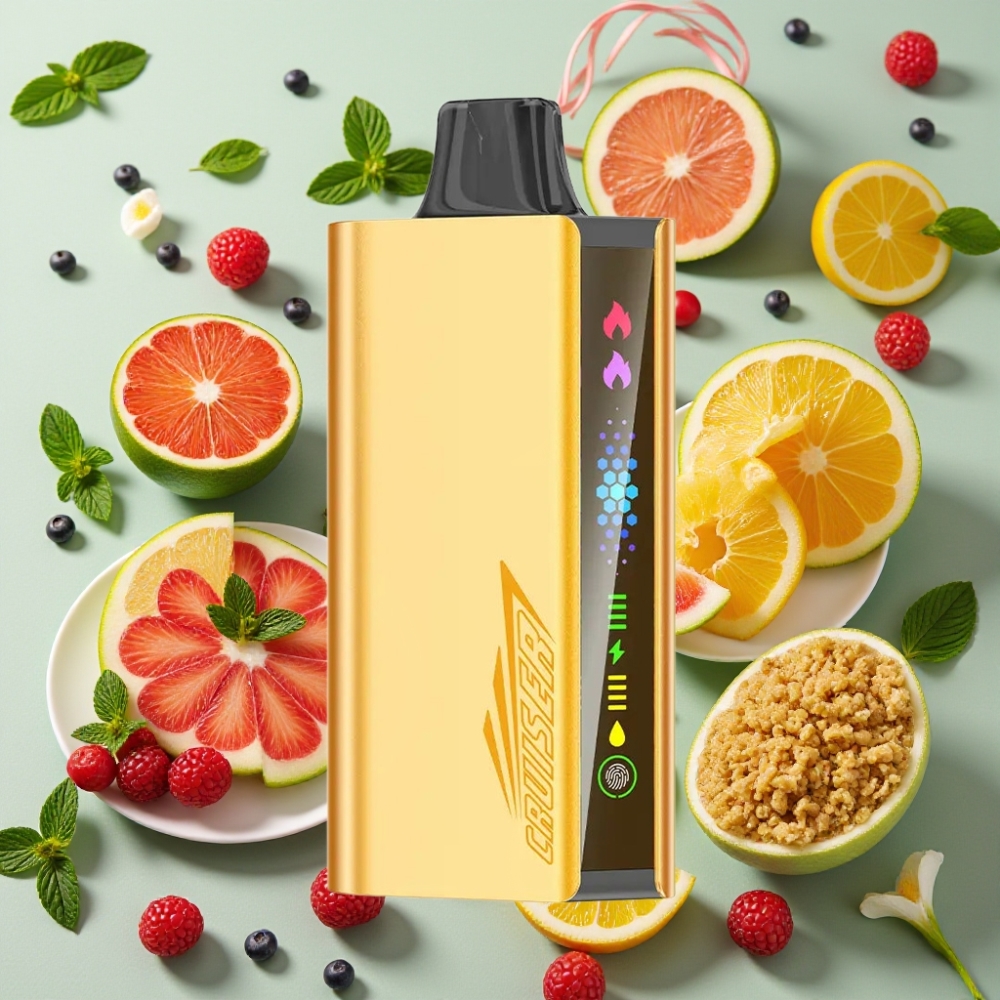 JNR Cruiser 12000 Puffs sans Recharge 3500 mAh 25ml Menthe Fraîche