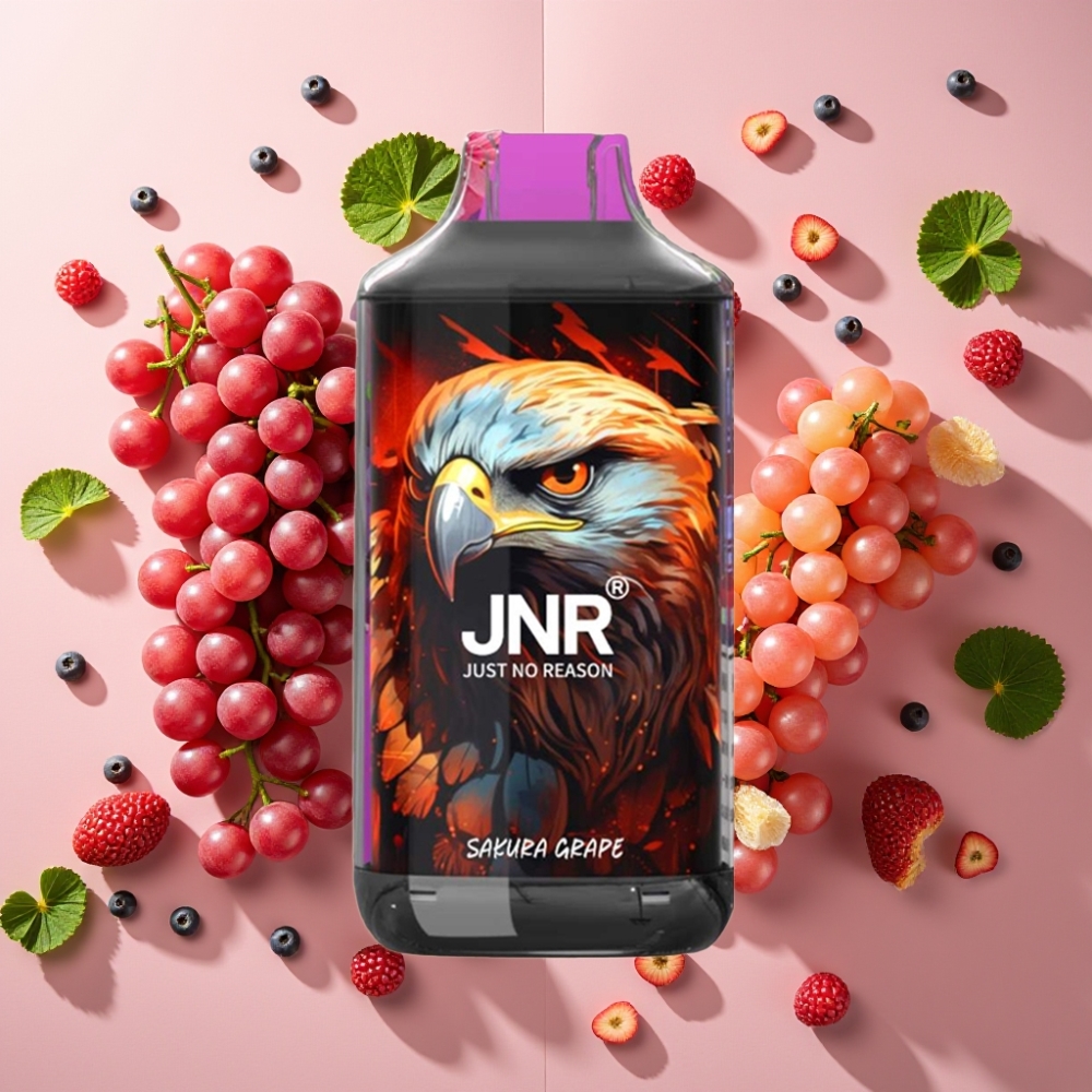 JNR Falcon 16000 Puffs Sakura Raisin – 22ml, Dual Mesh, Type C/Lightning