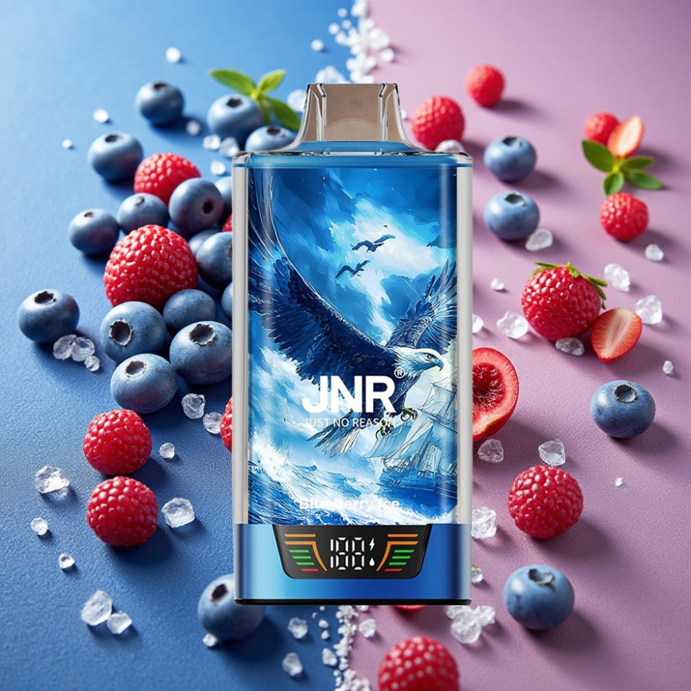 JNR Falcon Pro 28000 Disposable Vape Myrtille Glacé 30ml 950mAh 5%
