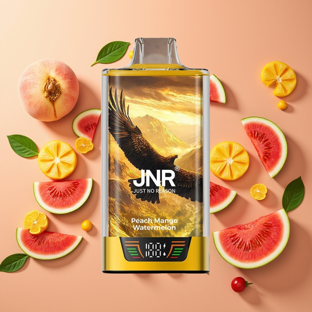 JNR Falcon Pro 28000 Pêche Mangue Pastèque 30ml 5% 950mAh Dual Mesh