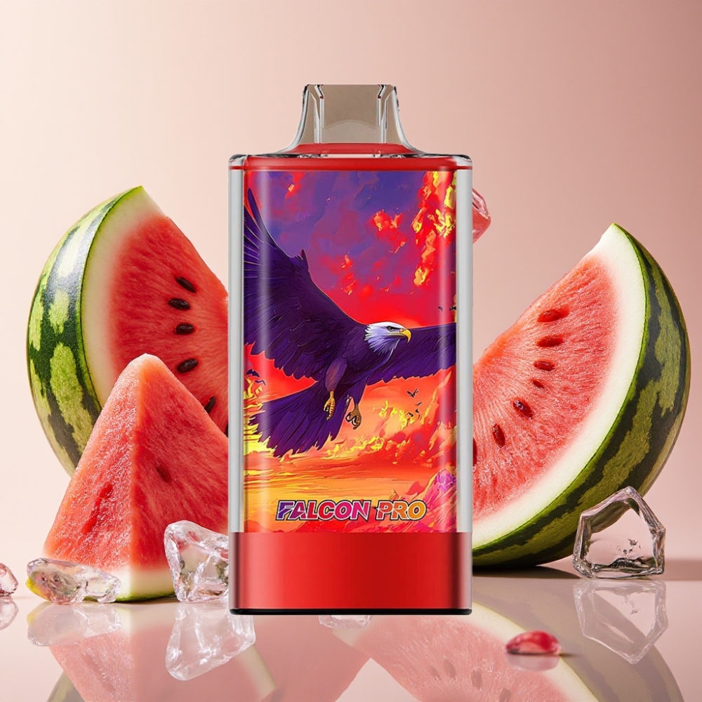 JNR Falcon Pro 28000 Pastèque Glacée 30ml 950mAh 5% France vape fournisseur
