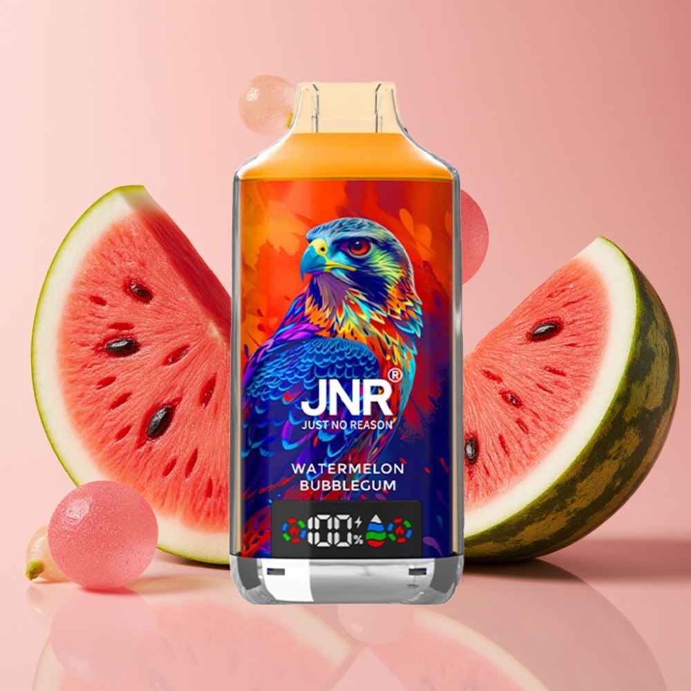 JNR Falcon X 18000 Puffs Bubblegum Pastèque 24ml Dual Mesh Type-C
