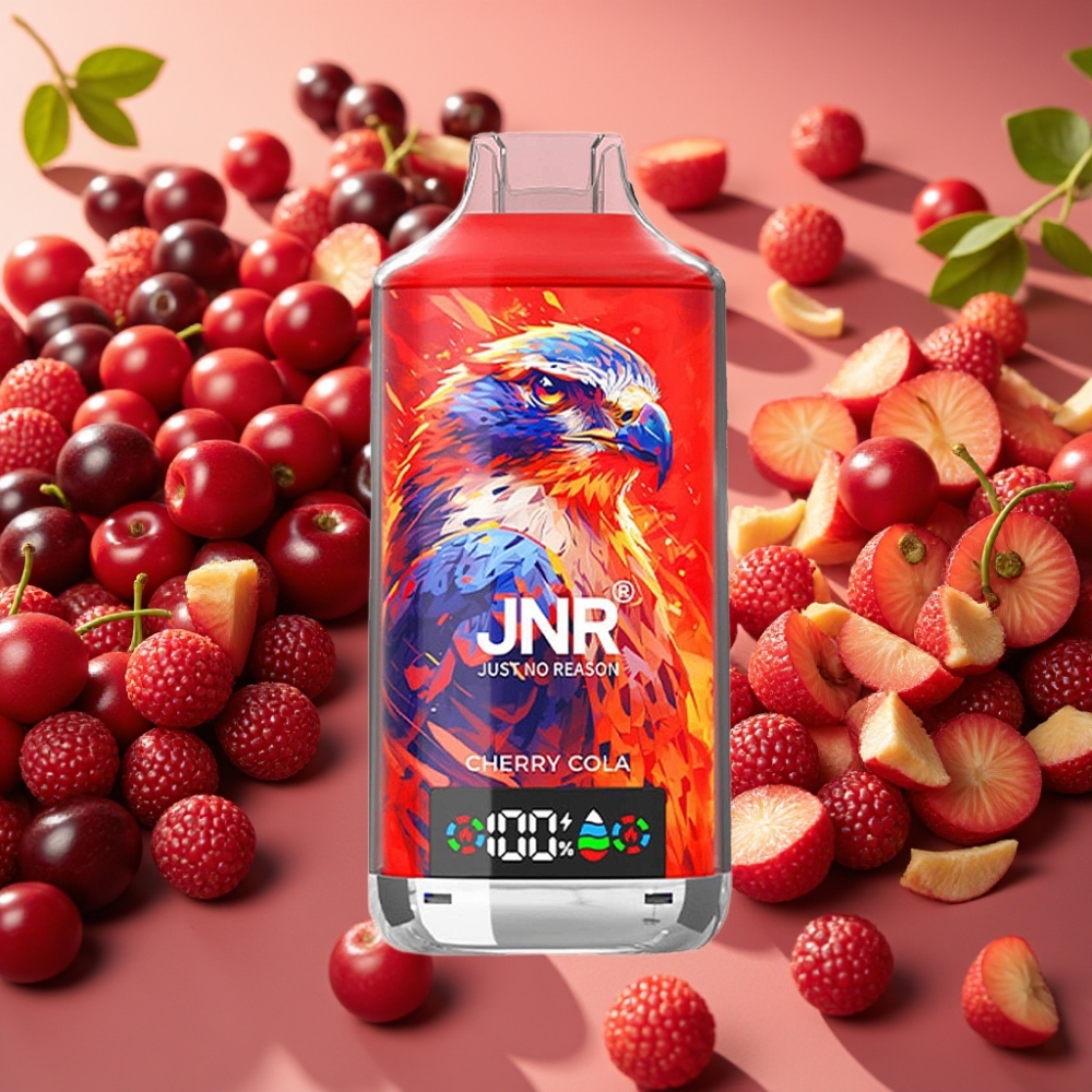 JNR Falcon X 18000 Puffs Cerise Raison 24ml Dual Mesh Type-C