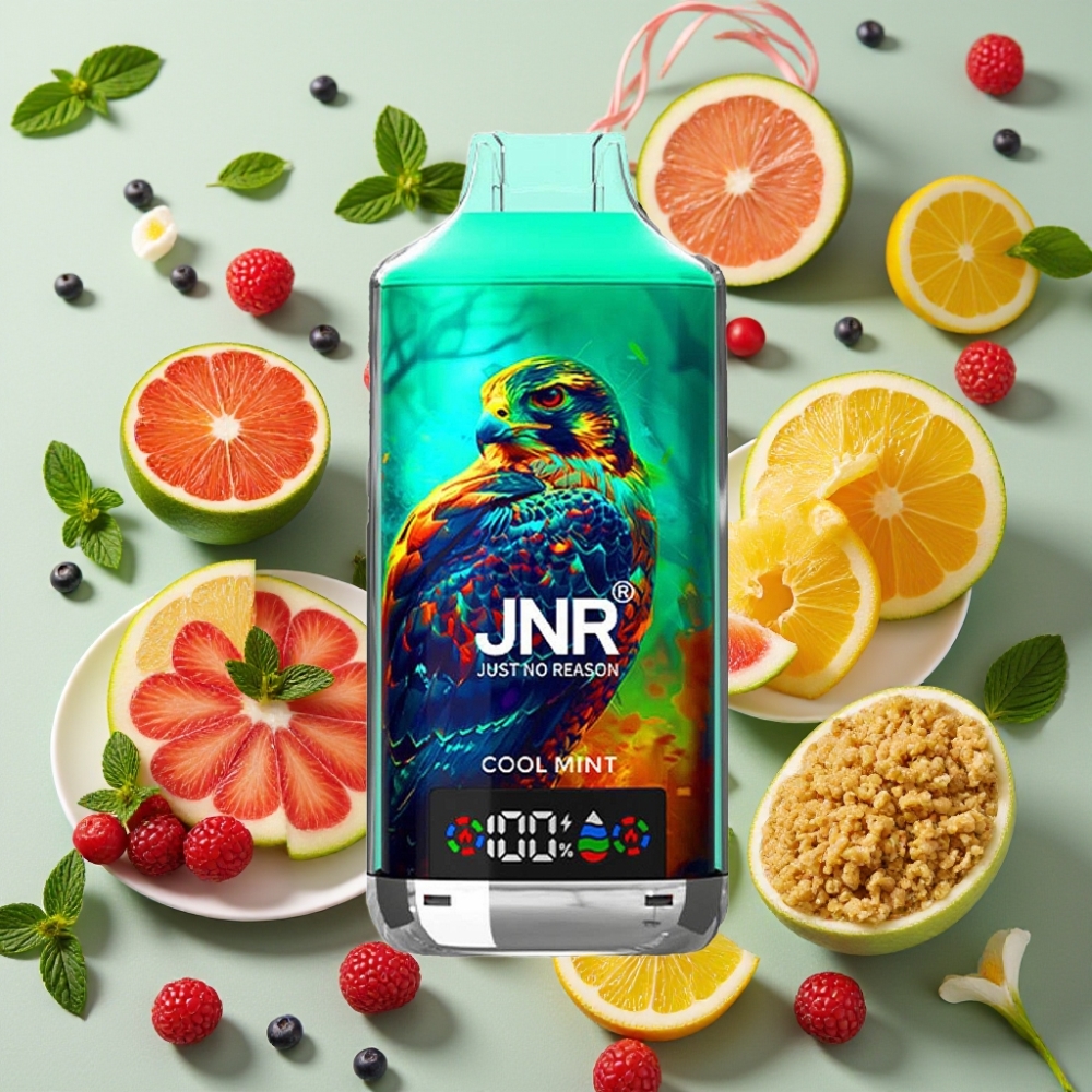JNR Falcon X 18000 Puffs Menthe Glaciale 24ml 750mAh Dual Mesh Dual Core