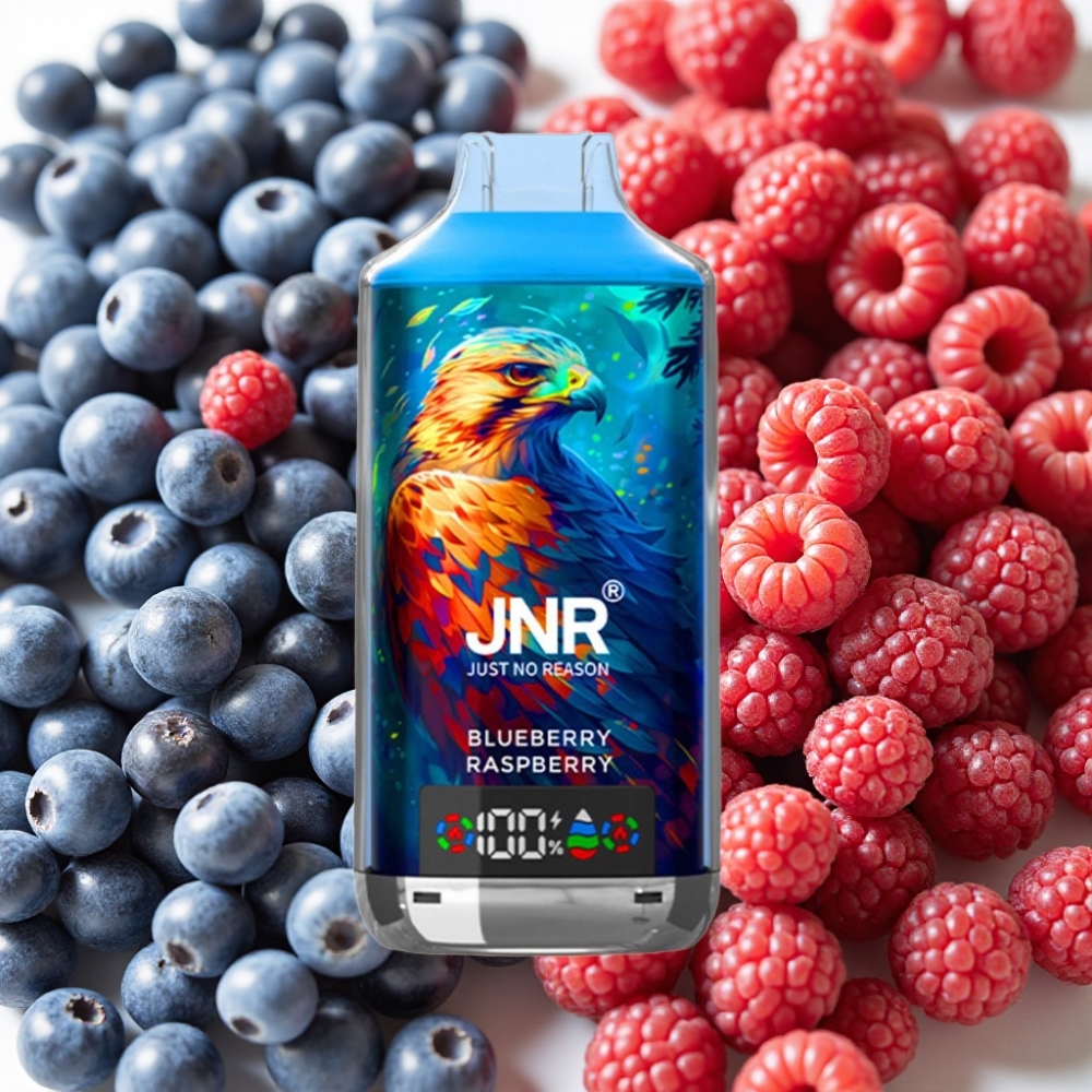JNR Falcon X 18000 Puffs Myrtille Framboise 24ml 750mAh Dual Mesh