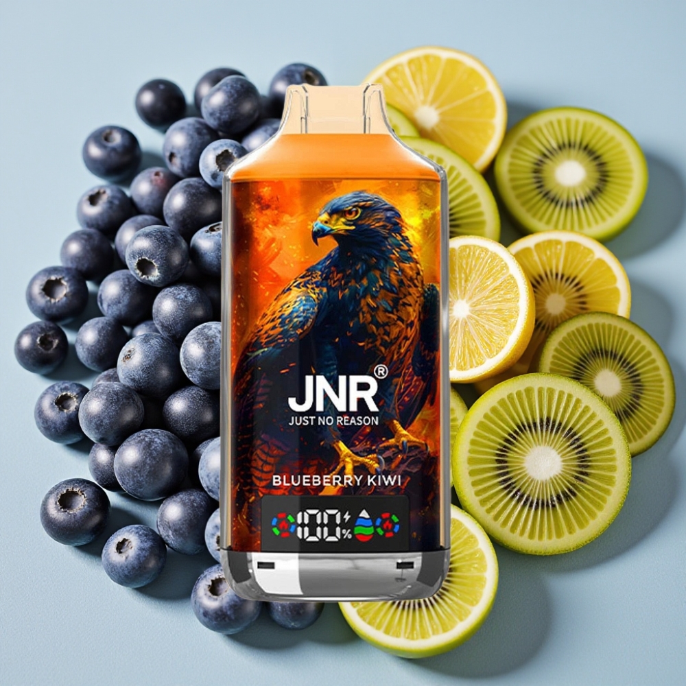 JNR Falcon X 18000 Puffs Myrtille Kiwi 24ml 750mAh Dual Mesh Dual Core Type-C