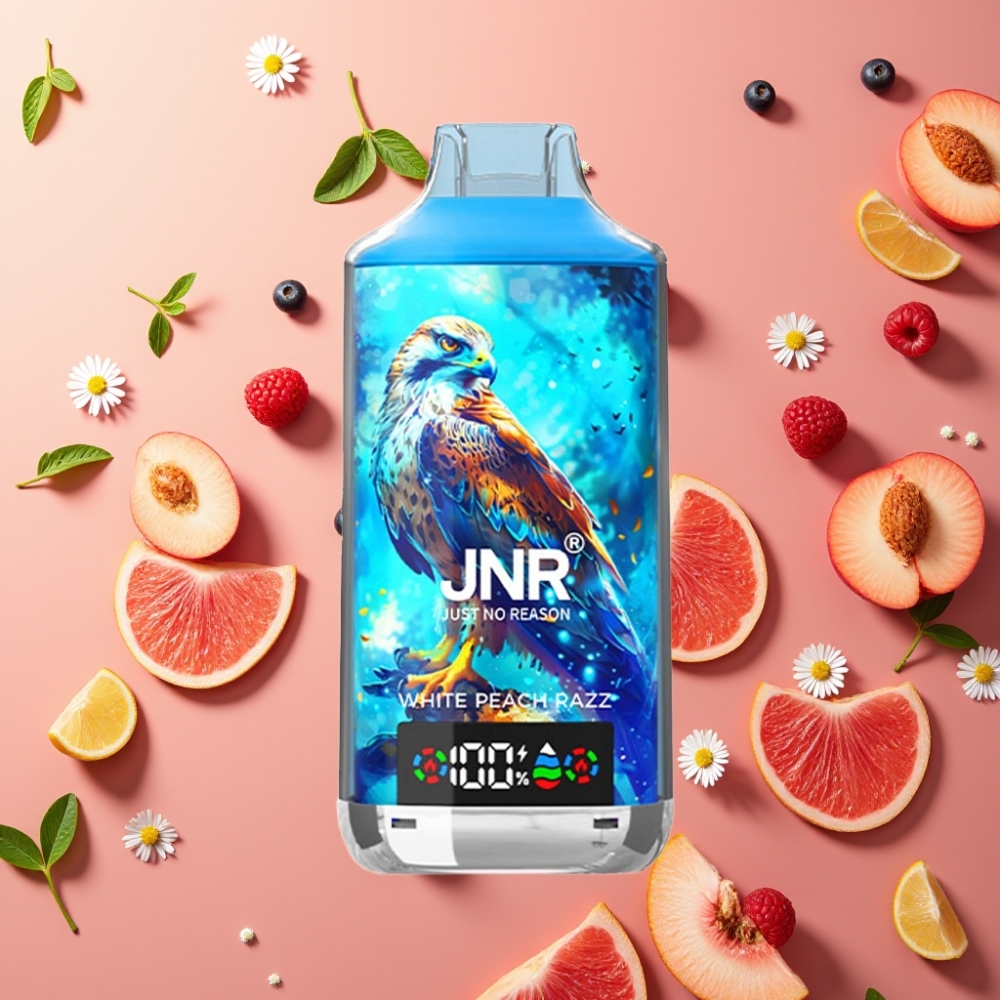 JNR Falcon X 18000 Puffs Pêche Blanche Framboise 24ml 750mAh Dual Mesh