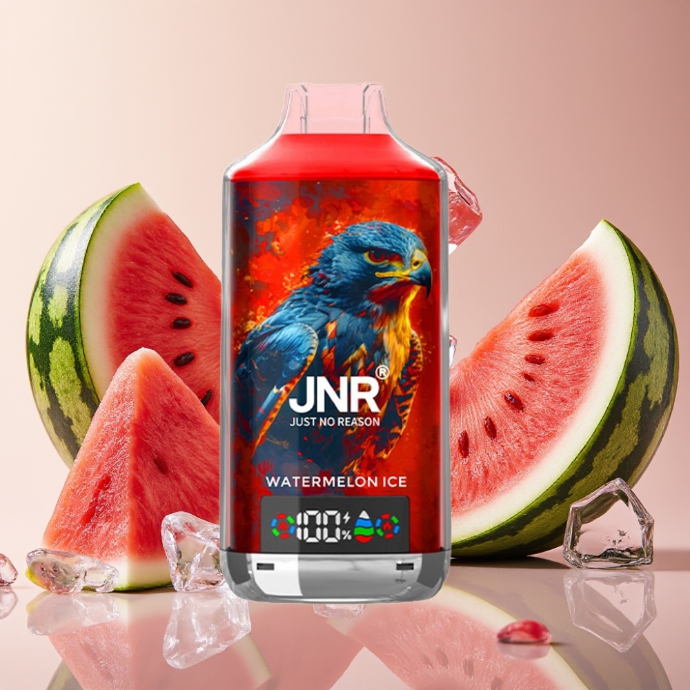 JNR Falcon X 18000 Puffs Pastèque Glacée 24ml Dual Mesh Type-C