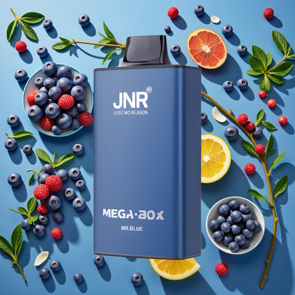 JNR Mega Box 25000 Puffs 30ml 850mah Bleu Monsieur Dual Mesh Type-C
