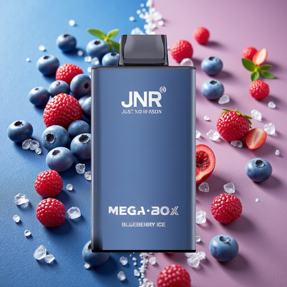 JNR Mega Box 25000 Puffs 30ml 850mah Dual Mesh Type-C Bleu Glacé