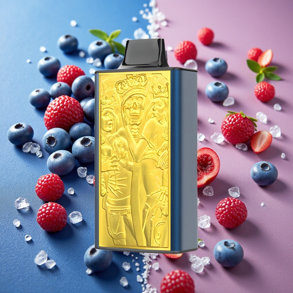 JNR Mega Box 25000 Puffs 30ml 850mah Dual Mesh Type-C Bleu Glacé