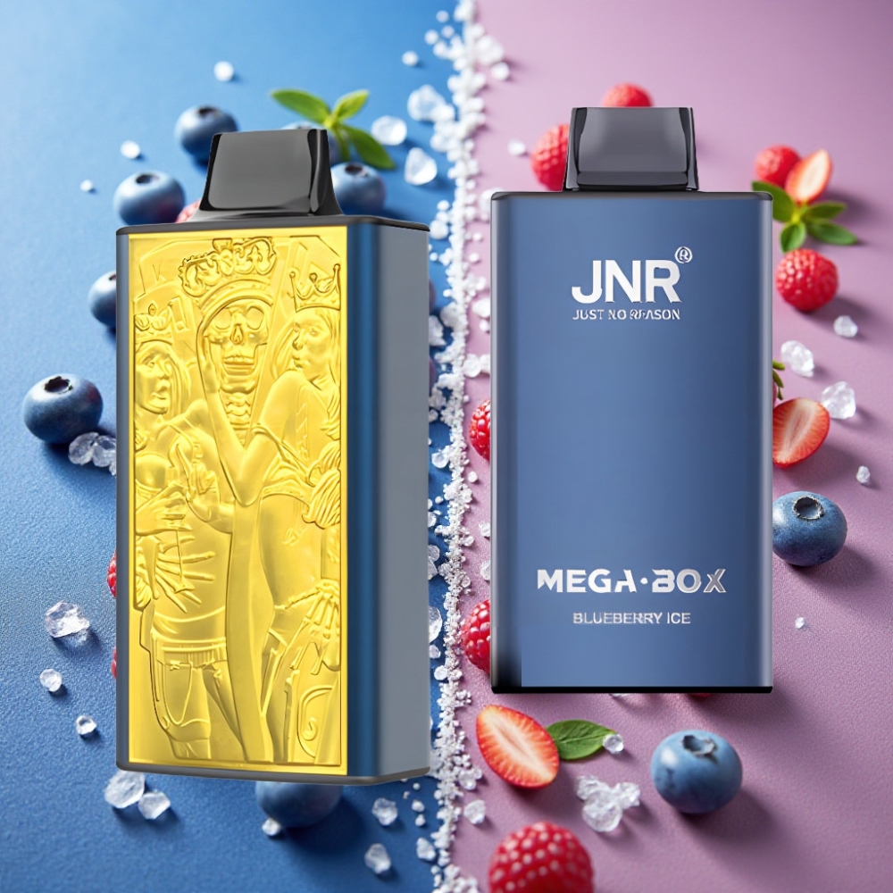 JNR Mega Box 25000 Puffs 30ml 850mah Dual Mesh Type-C Bleu Glacé