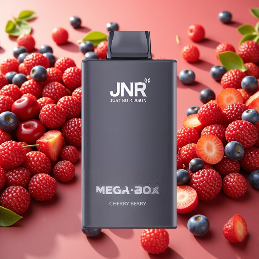 JNR Mega Box 25000 Puffs Cerise-Baies 30ml 850mAh Dual Mesh