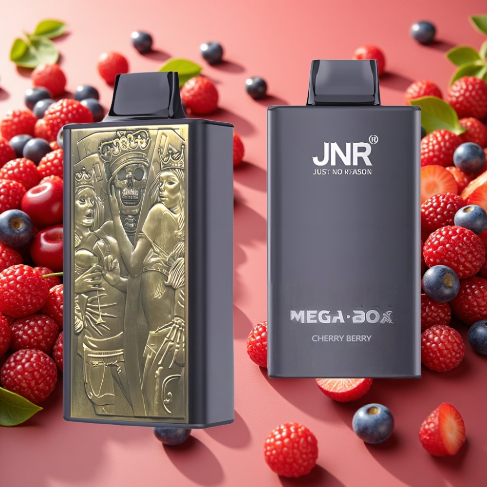 JNR Mega Box 25000 Puffs Cerise-Baies 30ml 850mAh Dual Mesh