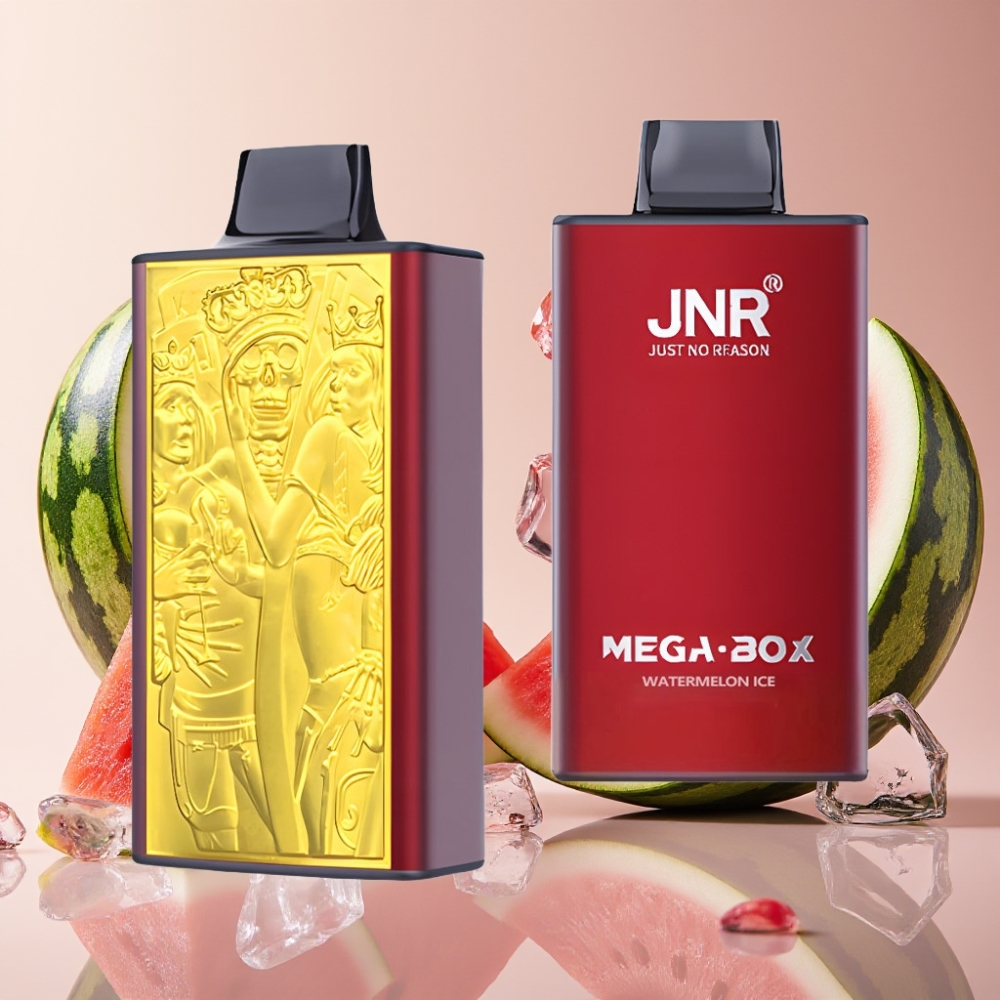 JNR Mega Box 25000 Puffs Pastèque Glace 30ml 850mAh Dual Mesh