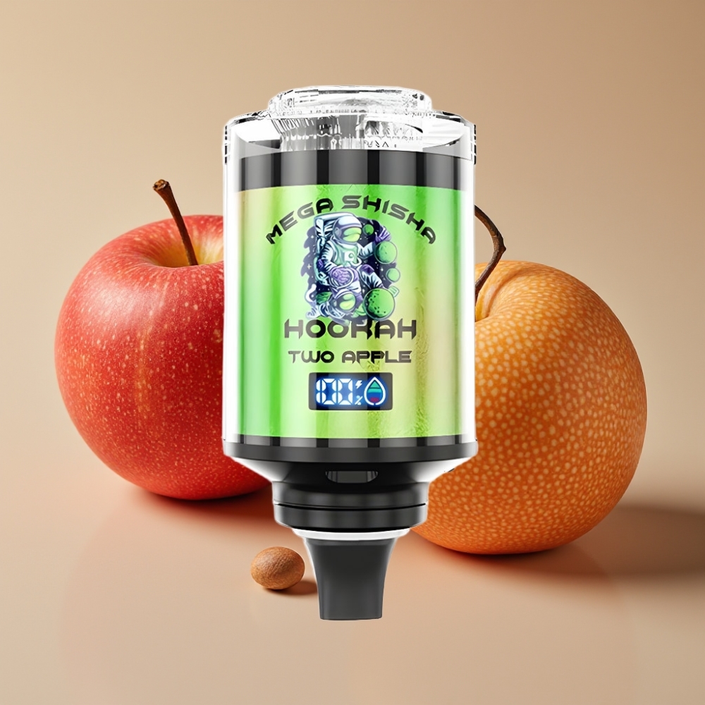 JNR Mega Shisha Hookah 100K Compatibilité Bureau 2200mAh 60ml Deux Pommes