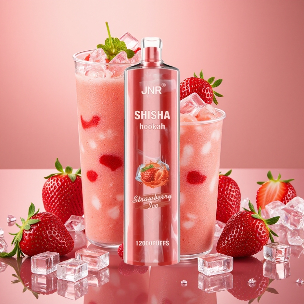 JNR Shisha Hookah 12000 Puffs 24ml 750mAh Fraise Glacée France vape fournisseur