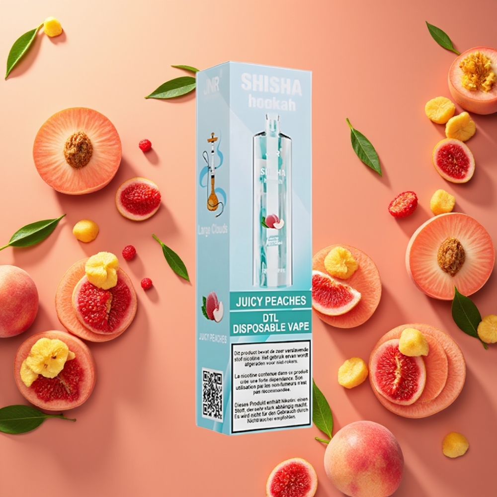 JNR Shisha Hookah 12000 Puffs Pêches Juteuses 24ml 750mAh Type-C