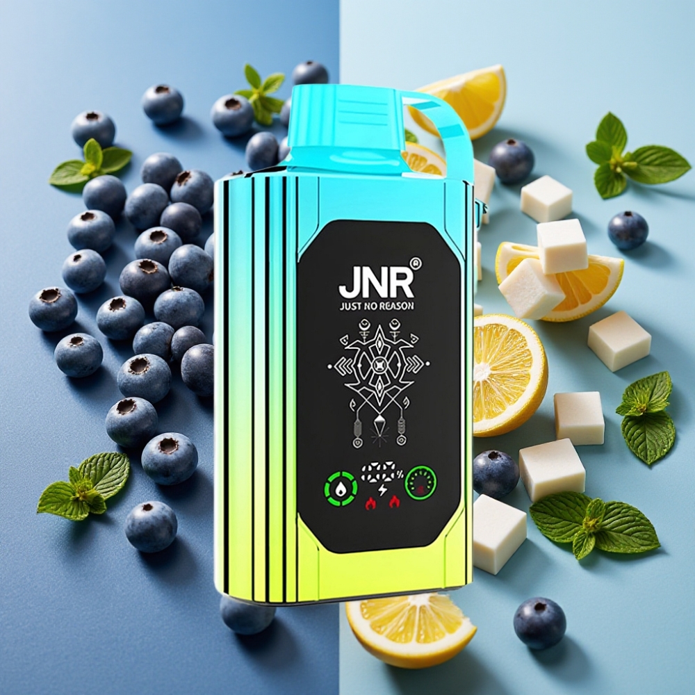 JNR Shisha Hookah Box 20500 Puffs - Affichage HD, 25ml, Double Mesh - Menthe Myrtille