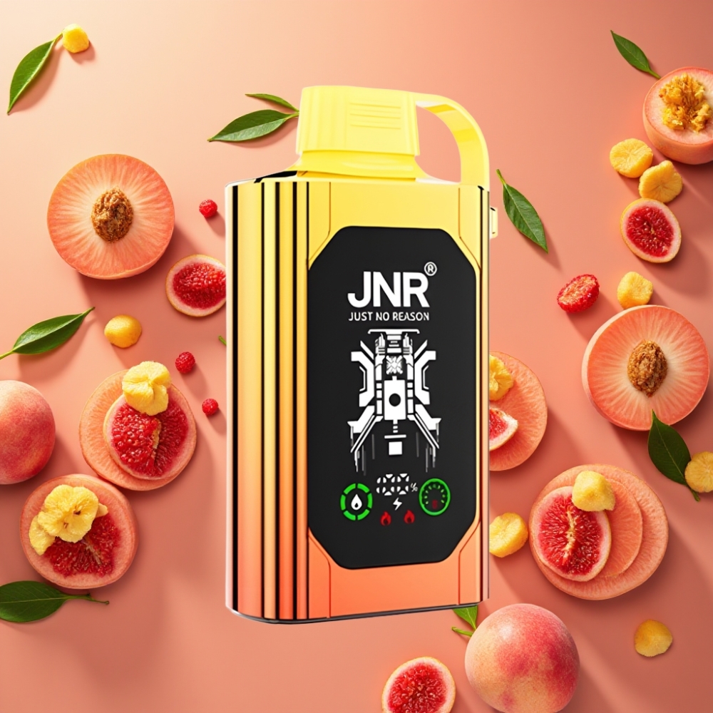 JNR Shisha Hookah Box 20500 Puffs - Écran HD, 25ml, Double Mesh, Pêches Juteuses