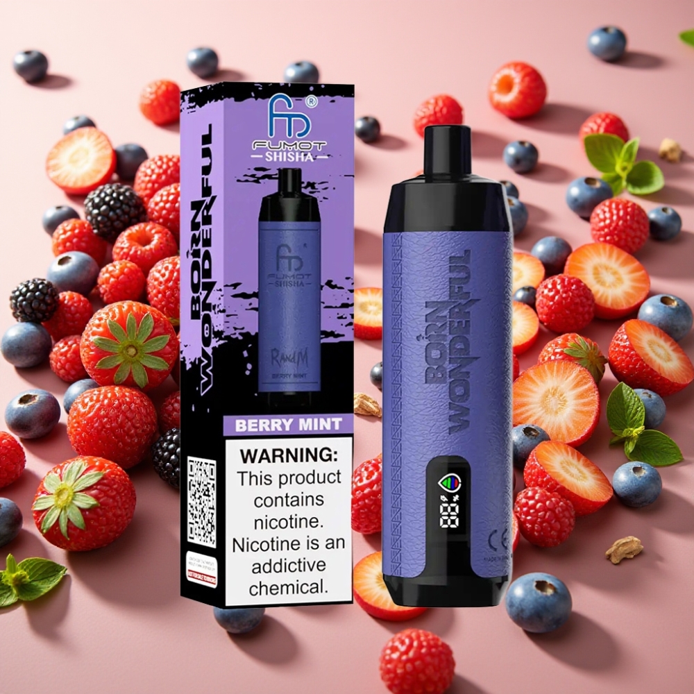 RandM Fumot Shisha 10000 Puffs Menthe Baies 18ml 850mAh 0,6ohm