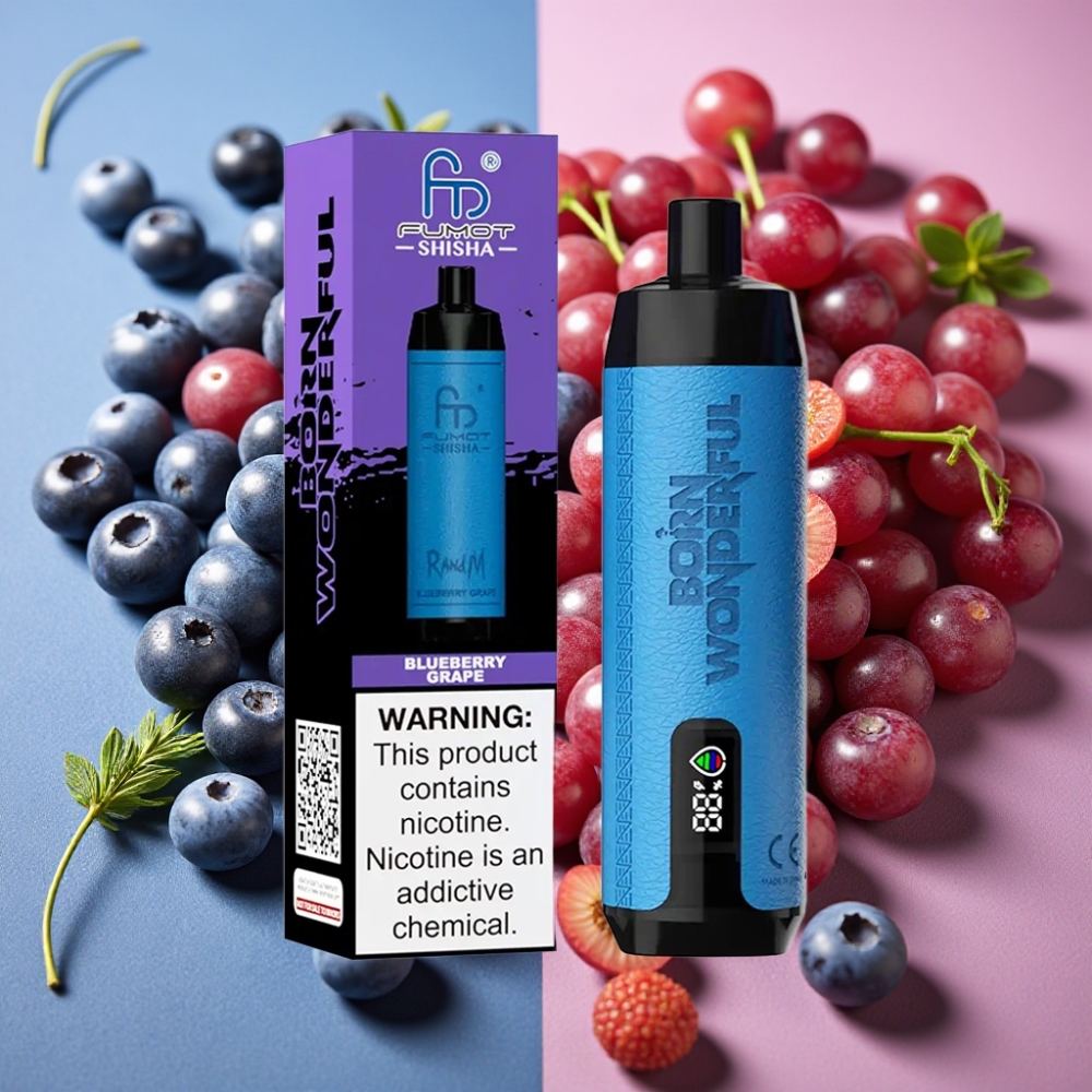 RandM Fumot Shisha 10000 Puffs Myrtille Raisin LED 18ml 850mAh Type-C